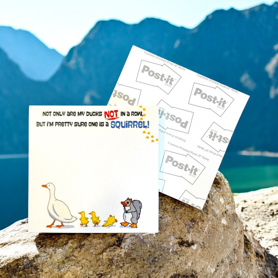 Ducks Aren’t In A Row Post-It Notes