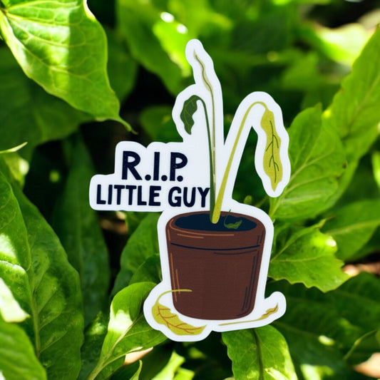 RIP Little Guy