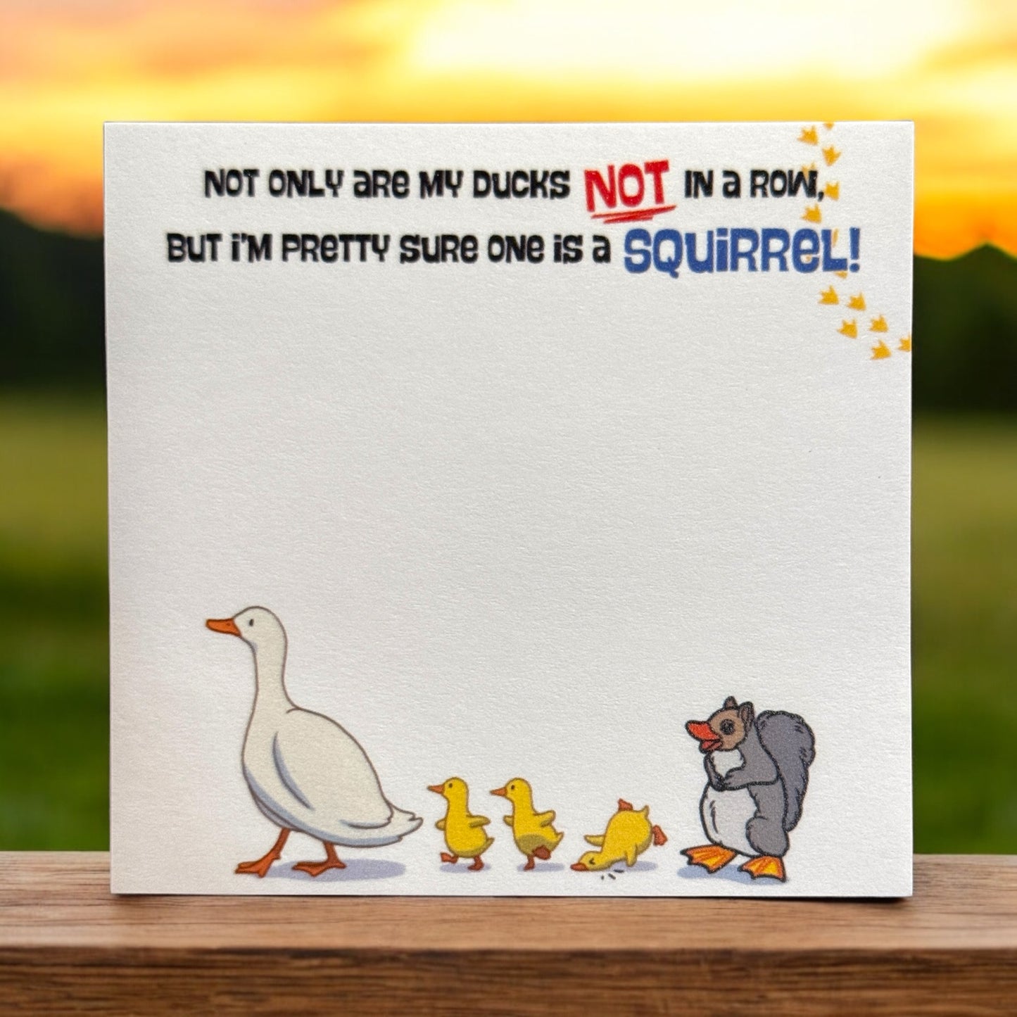 Ducks Are Not In A Row Sticky Notes